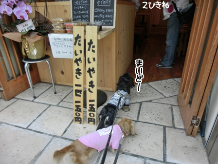201605213.jpg