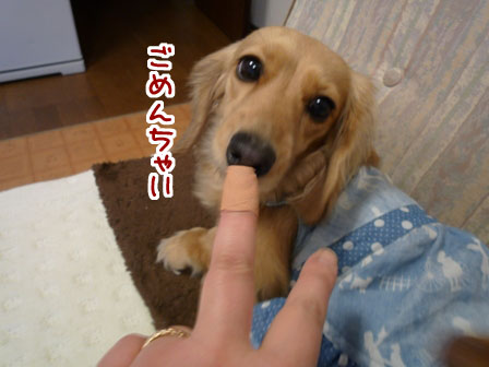 037_20120325014932.jpg