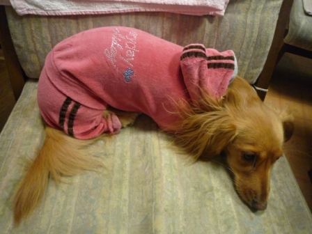 024_20101214225042.jpg