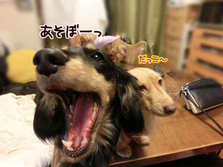 004_2015020200322692b.jpg
