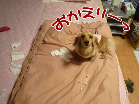 002_20120524004331.jpg