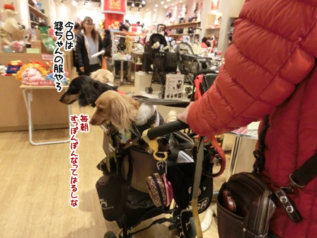 2016020102.jpg