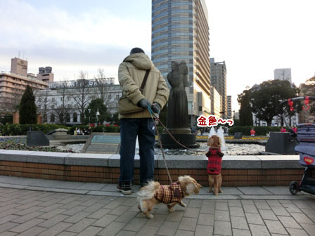 024_20130114000339.jpg