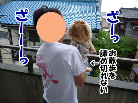 004_20110529233450.jpg