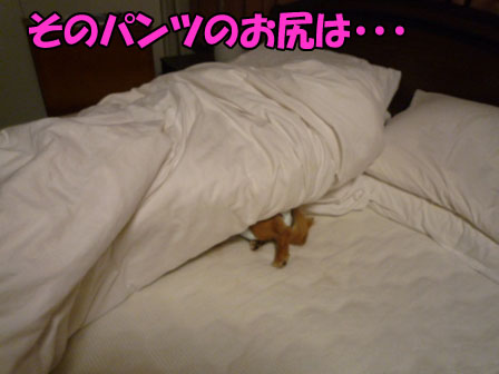 001_20110128223505.jpg