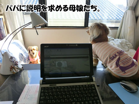 005_20130312231221.jpg