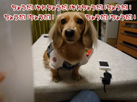008_20111215233150.jpg