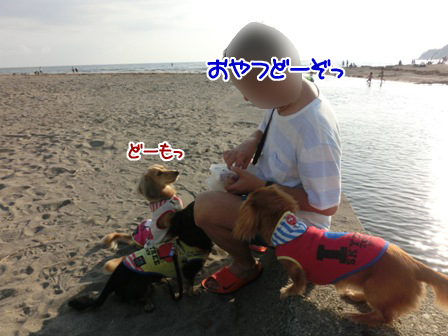 201609240373.jpg