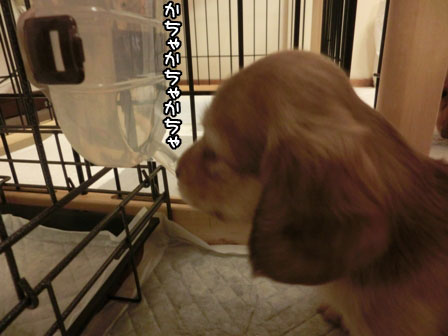 019_20130730004022.jpg