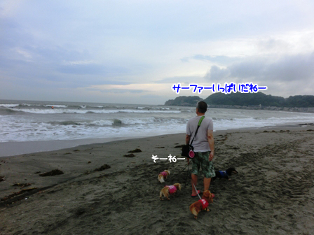 011_201507022258173c4.jpg