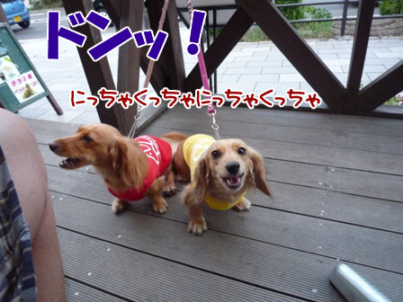 005_20110825225059.jpg