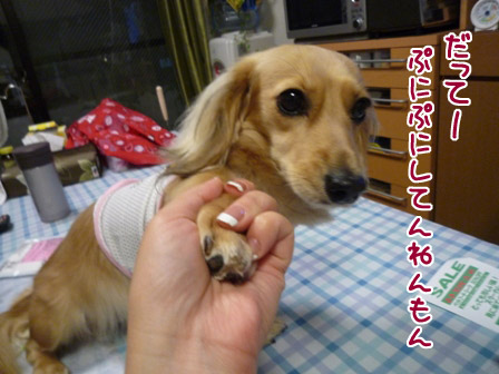 011_20120720232529.jpg