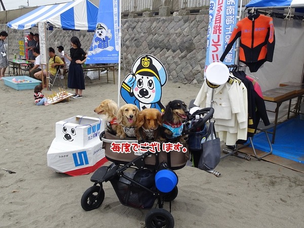 20180527meruloco-5