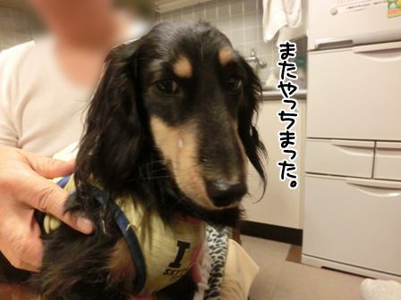 201602226.jpg