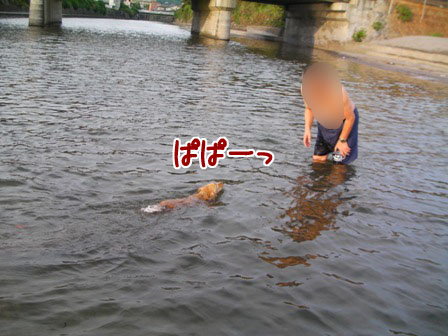 090_20110802003934.jpg