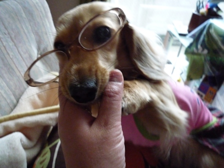 025_20110528004838.jpg