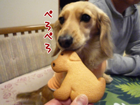 068_20110407222010.jpg