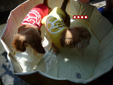 003_20110625223846.jpg