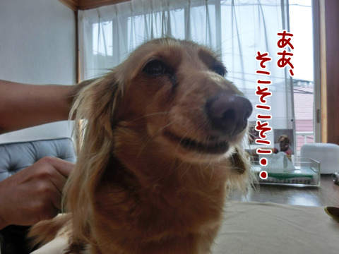 201607182