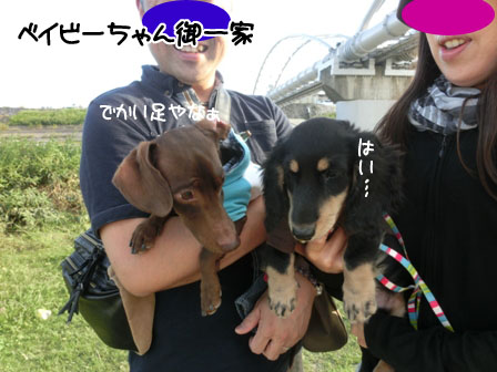 038_201309300006142cb.jpg