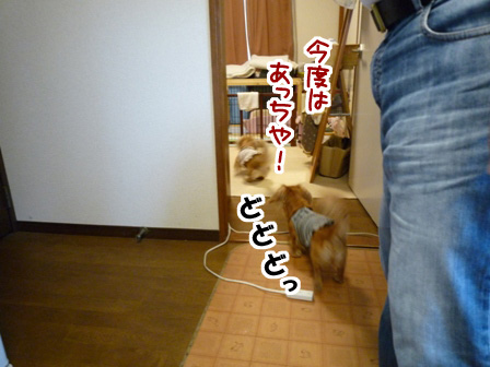049_20110529234721.jpg