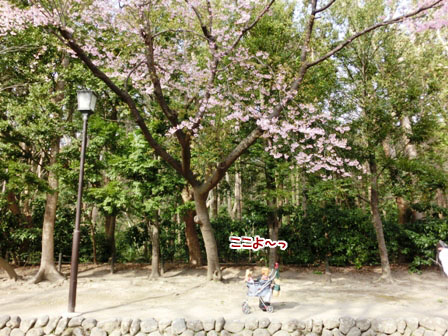 007_20130318230449.jpg
