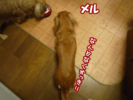 003_20120306223348.jpg