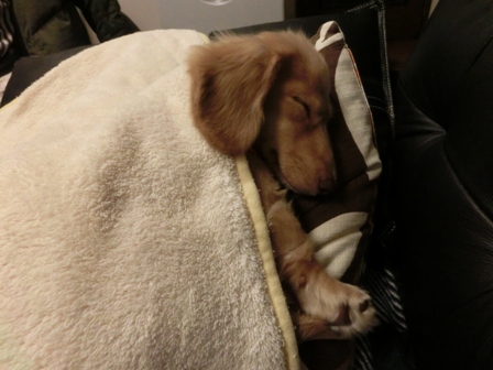 065_20131110222551173.jpg
