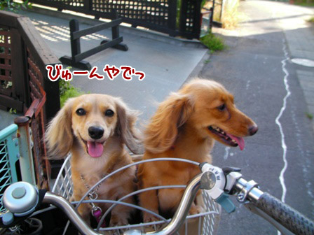 006_20120802235051.jpg