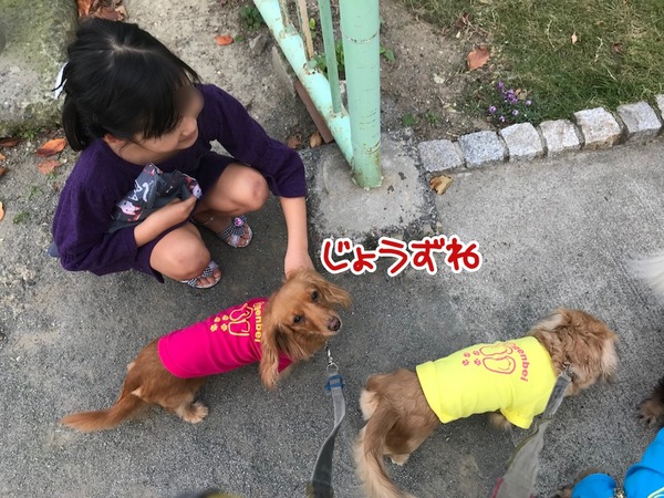 meruloco20181027-4