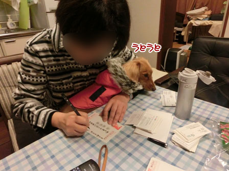 008_20121229004401.jpg