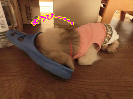 012_2013091623200394f.jpg
