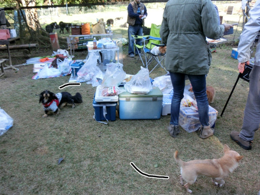 bbq-02