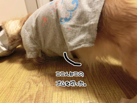 005_20130528234936.jpg