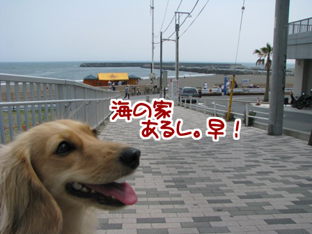 010_20110521232723.jpg