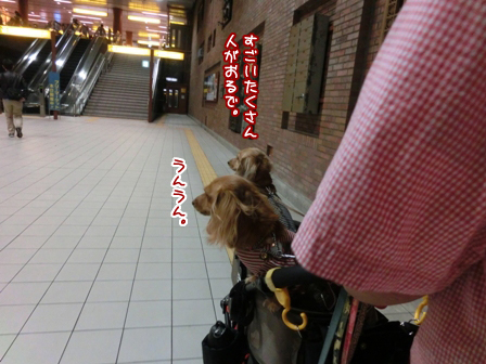 004_20141116002015dfa.jpg