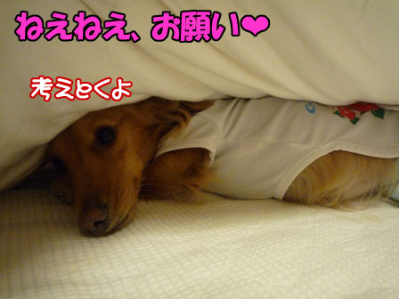 003_20110128223503.jpg