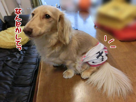 201605284.jpg