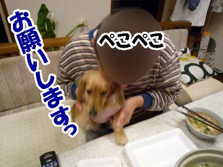 009_20120407003355.jpg