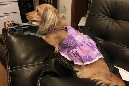 027_20130819231233bdd.jpg