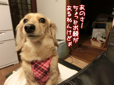 021_20130327232606.jpg