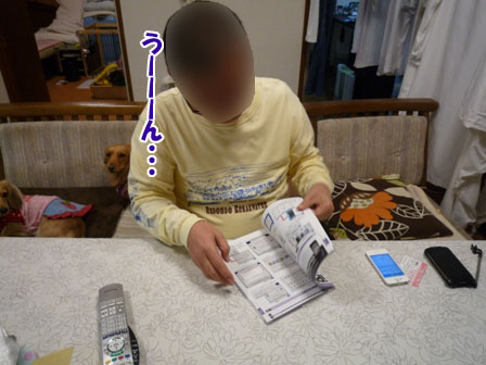 010_20111213004703.jpg
