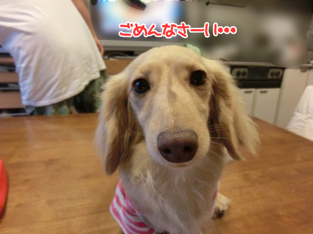 201605275.jpg