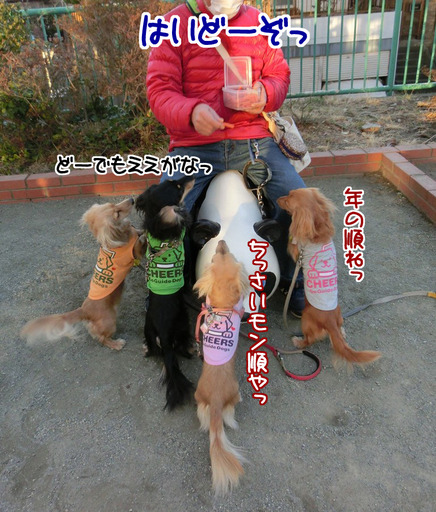 20170212-3