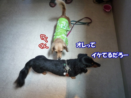 006_20120716231234.jpg