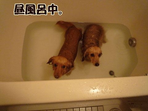 005_20120331232545.jpg