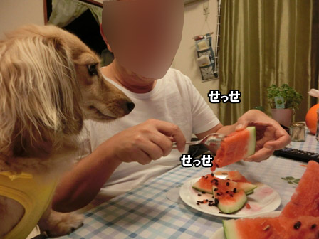 027_20120825223202.jpg