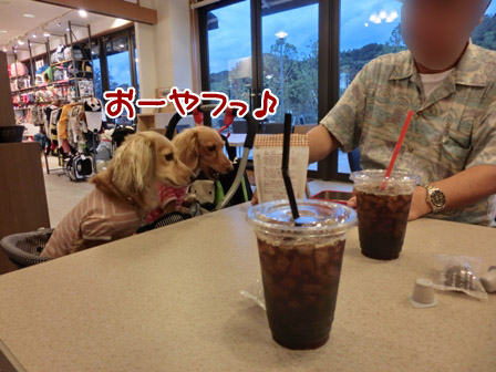 060_20120822001735.jpg