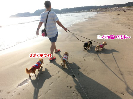 201609240312.jpg