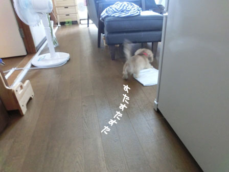 016_201309102348525fc.jpg